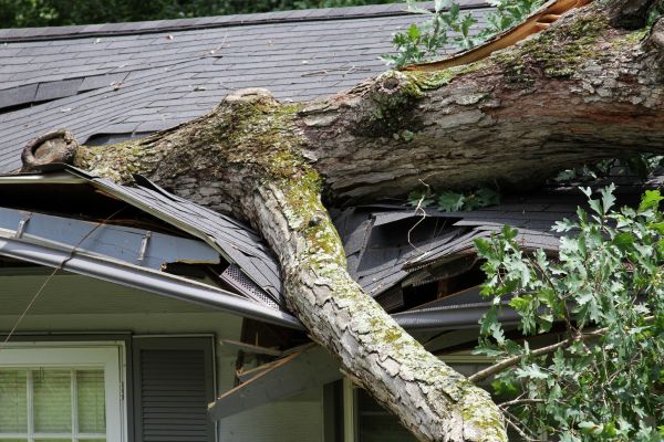 Storm Remediation in Rockville