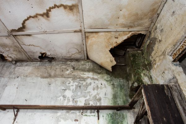 Water Damage Service in Rockville