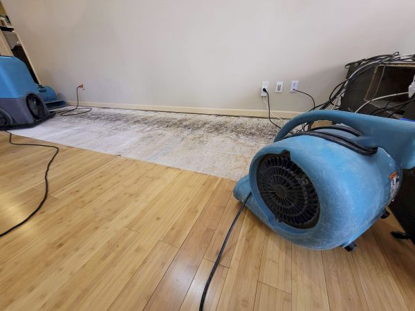 Water Damage Mitigation in Rockville