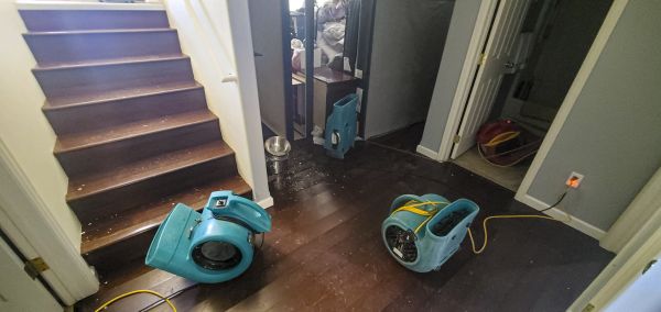 Water Damage Remediation in Rockville