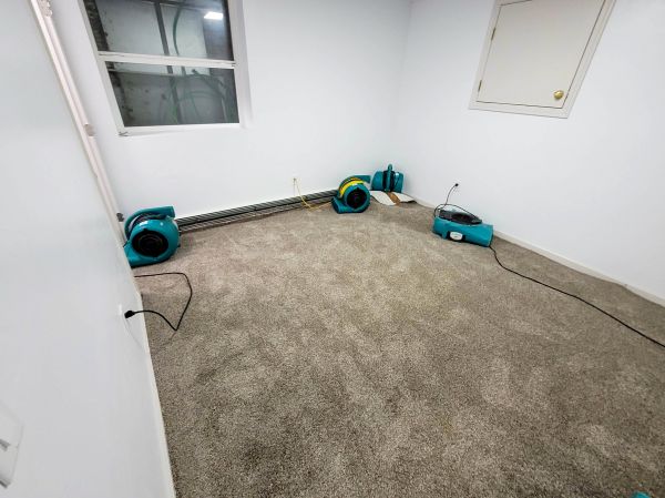 Flood Restoration Service in Rockville