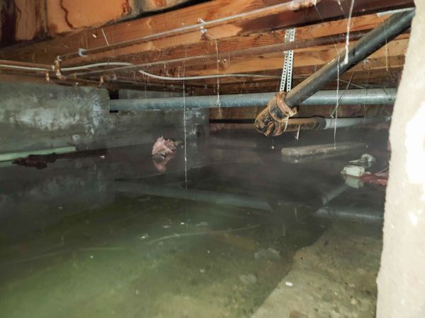 Water Mitigation Service in Rockville