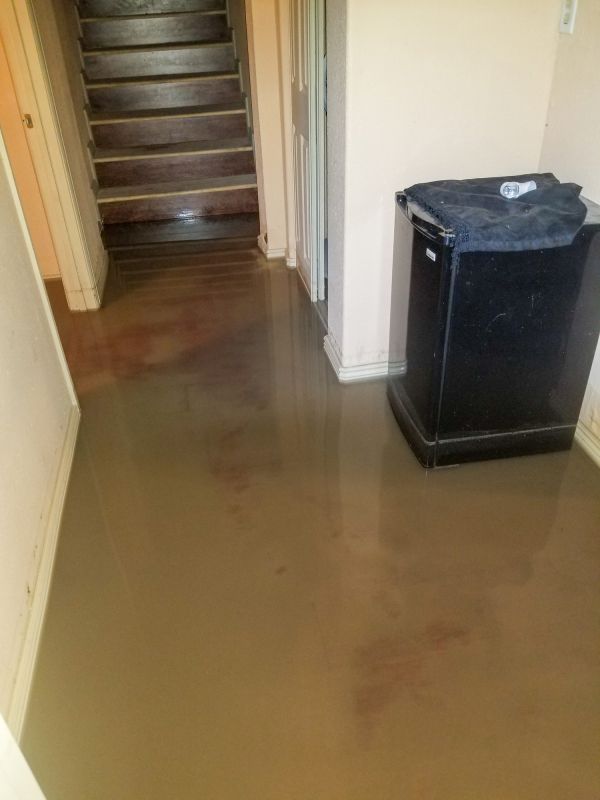 Flooded Basement